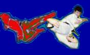 header image 2